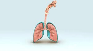 Penyebab Penyakit Infeksi Pernapasan Yang Semakin Marak